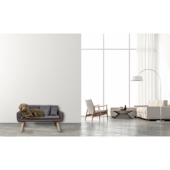 Ein entspannter grauer Hund liegt auf einem modernen grauen Sofa in einem hellen, minimalistischen Wohnzimmer mit großen Fenstern und stilvollen Möbeln.