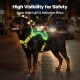 Rottweiler trägt ein leuchtend grünes LED-reflektierendes Geschirr auf einer nächtlichen Straße; sichtbarer Text: 'High Visibility for Safety'