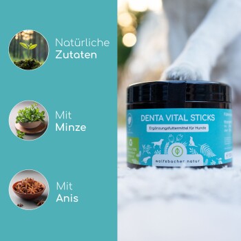 DENTA VITAL STICKS für Hunde in einem schwarzen Behälter, beschriftet mit "100% natürlich," mit Symbolen für Minze und Anis.