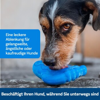 Eine Nahaufnahme eines Hundes, der auf einem blauen Spielzeug kaut, mit Text, der es als schmackhafte Ablenkung für gelangweilte, ängstliche oder eifrige Hunde hervorhebt.
