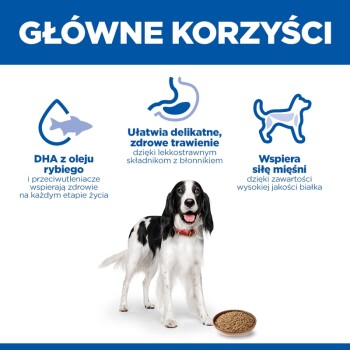 Czarno-biały pies przy misce krokietów pod polskim nagłówkiem 'GŁÓWNE KORZYŚCI'; ikony informujące o DHA, zdrowym trawieniu i sile mięśni.