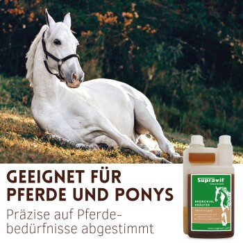 Getrocknete Kräutermischung mit der Aufschrift "Supravit Bronchial Kräuter" und Text "aus 100% natürlichen Kräutern" auf weißem Hintergrund.