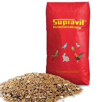 Gemischte Vogelfuttersaatmischung mit verschiedenen Samen und Körnern für Ziervögel, Nahaufnahme.