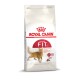 Sac de nourriture pour chat Royal Canin Regular Fit 32 présentant une illustration d'un chat, avec un texte mettant en avant "Feline Health Nutrition" et des bienfaits nutritionnels.