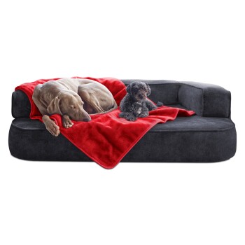 Ein großer grauer Hund und ein kleiner schwarzer Hund ruhen sich auf einer dunkelgrauen Couch aus, die mit einer roten Decke bedeckt ist.