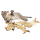 Eine verspielte getigerte Katze liegt auf der Seite und greift nach einem Haufen weicher, plüschiger Katzenspielzeuge in Form von Mäusen und Fischen, mit bunten Designs.