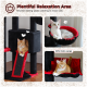 Katzenbaum mit verschiedenen Ruheplätzen: eine orangefarbene getigerte Katze liegt in einem Würfel, und eine grau-weiße Katze sitzt in einer runden Hängematte.