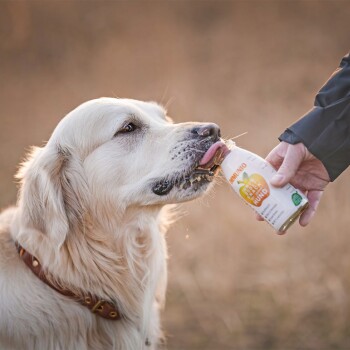 Ein Mops am Strand leckt an einer Flasche mit der Aufschrift "SENSITIVO", die besagt "HYPO-ALLERGEN SNACK für jeden HUND" und die Zutaten auflistet.