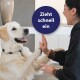 Ein Golden Retriever hebt spielerisch seine Pfote in Richtung einer Person, mit einem kreisförmigen Textüberlagerung, der "Zieht schnell ein." liest.