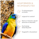 Gemischte Vogelfuttersamenmischung mit verschiedenen Samen, darunter Hirse, Sonnenblumenkerne und Hafer für Ziervögel.