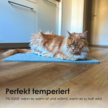 Eine flauschige rote Katze ruht auf einer grauen Filzmatte in einer Küche, mit dem Text darunter "Perfekt temperiert" über ihre temperaturregulierenden Eigenschaften.