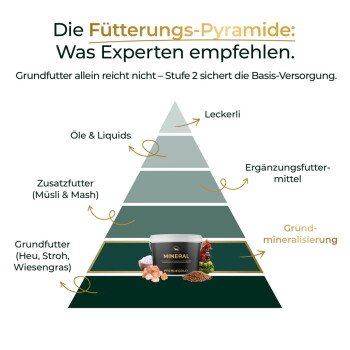 Fütterungspyramide mit dem Titel 'Die Fütterungs‑Pyramide: Was Experten empfehlen.' Zeigt Schichten (Grundfutter → Leckerli) und eine Dose mit der Aufschrift 'MINERAL'.