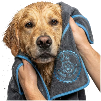 Ein gerolltes, dunkelgraues Haustierhandtuch mit blauen Akzenten, mit einem gestickten Design eines Hundegesichts und dem Text 'Hund ist König.'