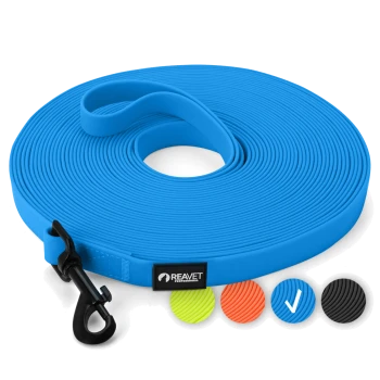 Blaue REAVET Professional Hundeleine mit schwarzem Clip, aufgewickelt gezeigt mit Farboptionen in grün, orange, blau und schwarz.