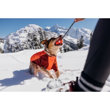 Ein verspielter Hund in einer orangefarbenen Jacke zieht an einer Leine, während er einen roten Ball im Mund hält, umgeben von schneebedeckten Bergen.
