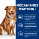 Chien avec un collier bleu à côté d'un texte sur les mécanismes de la nourriture pour animaux : protéine unique, agents bioactifs et acides gras oméga-3.