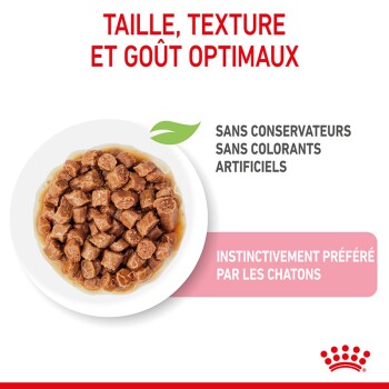 Bol de morceaux de nourriture humide pour chats dans une sauce, mettant en avant la taille optimale, la texture, le goût, et sans conservateurs, apprécié par les chatons.