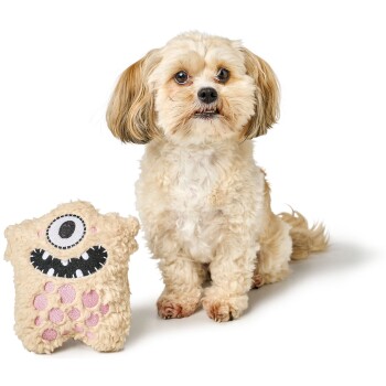 Ein flauschiger Hund sitzt neben einem Plüschmonster-Spielzeug mit einem Auge und Zähnen und zeigt eine verspielte Atmosphäre im Tiergeschäft.