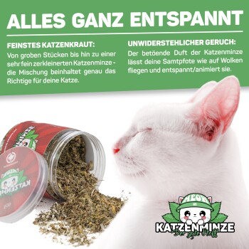 Eine weiße Katze mit geschlossenen Augen steht neben einem Glas Katzenminze, das herausfällt. Der Text hebt die entspannenden Wirkungen und die Qualität der Katzenminze hervor.