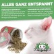 Eine weiße Katze mit geschlossenen Augen steht neben einem Glas Katzenminze, das herausfällt. Der Text hebt die entspannenden Wirkungen und die Qualität der Katzenminze hervor.