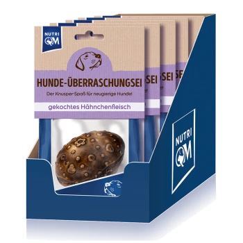 Nutri QM Hundesnack-Box mit Geschmack gekochtes Huhn, mit einem braunen strukturierten Kauspielzeug und deutschem Text.