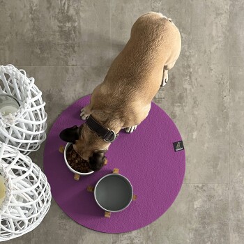 Ein Hund, der aus einer weißen Schüssel mit Trockenfutter frisst, die auf einem runden lila Platz liegt. Eine graue Wasserschüssel steht in der Nähe.