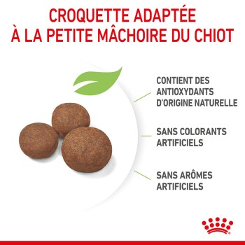 Croquettes pour chiots, trois brunes sur fond blanc, avec des antioxydants naturels, sans colorants ni arômes artificiels.