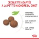 Croquettes pour chiots, trois brunes sur fond blanc, avec des antioxydants naturels, sans colorants ni arômes artificiels.