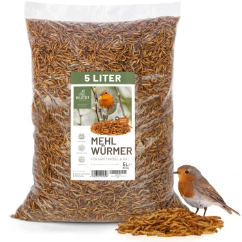 Eine 5-Liter-Tüte Mehlwürmer mit der Aufschrift "MEHL WÜRMER" für Gartenvögel und Igel, mit einem Rotkehlchen, das daneben sitzt.