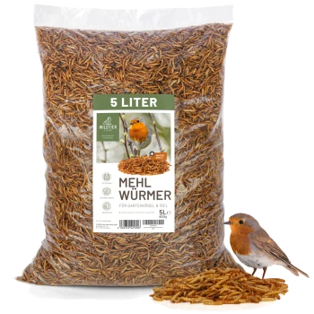 Eine 5-Liter-Tüte Mehlwürmer mit der Aufschrift "MEHL WÜRMER" für Gartenvögel und Igel, mit einem Rotkehlchen, das daneben sitzt.