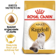 Royal Canin Adult Ragdoll Katzenfutterbeutel mit einem Bild einer Ragdoll-Katze, mit Text, der die Ernährungsbedürfnisse der Rasse und Vorteile für gesunde Haut und Fell hervorhebt.