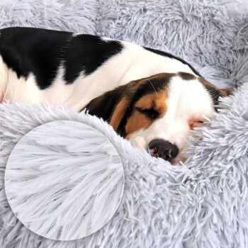 Ein schwarz-weißer Hund ruht auf einem flauschigen grauen Haustierbett, mit einer Nahaufnahme des weichen, zotteligen Stoffes in der Ecke.