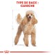 Caniche Adulte Croquettes Chien 3 kg