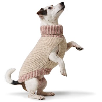 Hundepullover Odense mit Mütze (Set) creme 40 cm