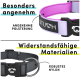 Hundehalsband mit einem lila gepolsterten Design, das "STUCH" über einem stabilen schwarzen Abschnitt mit "robustes Nylon" und "Widerstandsfähige Materialien" trägt.