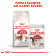 Royal Canin Verpackung zeigt Regular Fit Trockenfutterbeutel für Katzen und Instinctive Nassfutterbeutel, mit "DODAJ SASZETKĘ DO KARMY SUCHEJ" darüber.