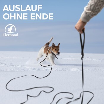 Ein verspielter Hund läuft im Schnee mit einem Stock und einer nachlaufenden Leine, mit "AUSLAUF OHNE ENDE" und "Tierhood" darüber.