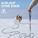 Ein verspielter Hund läuft im Schnee mit einem Stock und einer nachlaufenden Leine, mit "AUSLAUF OHNE ENDE" und "Tierhood" darüber.