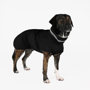 Ein gestromter Hund trägt einen schwarzen, isolierten Mantel mit hohem Kragen und reflektierendem Streifen, vor einem weißen Hintergrund.