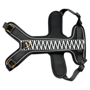 Schwarz-weiß gemustertes Hundegeschirr mit gepolsterten Riemen und einem goldenen D-Ring zur Leinenbefestigung.