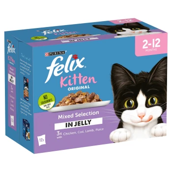 Buy Our Wide Range of Quality Kitten Food Online MAXI ZOO