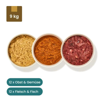 Rohe Tiernahrungssortiment mit 7 Packungen Fleisch, 1 Packung Fisch, 3 Knochen und 12 Portionen Obst und Gemüse.