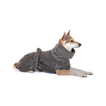 Ein Hund trägt einen gemütlichen grauen Bademantel, liegt entspannt da und zeigt den hohen Kragen und den Gürtel des Bademantels.