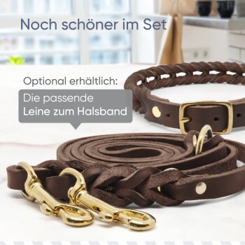 Geflochtene braune Leder-Hundeleine mit goldenen Verschlüssen, begleitet von einem passenden Halsband, mit Text über den optionalen Kauf.