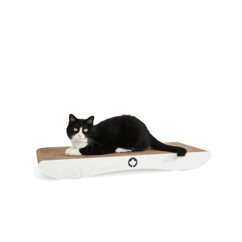 Eine schwarz-weiße Katze, die auf einem modernen, geschwungenen Kratzbaum mit einer Oberfläche aus Naturfasern und einem weißen Sockel entspannt.