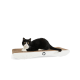 Eine schwarz-weiße Katze, die auf einem modernen, geschwungenen Kratzbaum mit einer Oberfläche aus Naturfasern und einem weißen Sockel entspannt.