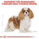 Illustration eines Cavalier King Charles Spaniels mit dem Text "SORTIMENT FÜR RASSEHUNDE: CAVALIER KING CHARLES SPANIEL" darüber.