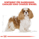 Illustration eines Cavalier King Charles Spaniels mit dem Text "SORTIMENT FÜR RASSEHUNDE: CAVALIER KING CHARLES SPANIEL" darüber.