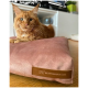 Eine flauschige orange Maine Coon Katze, die auf einem weichen rosa Haustierbett mit einem braunen Etikett, das "RexProduct.com" liest, entspannt.