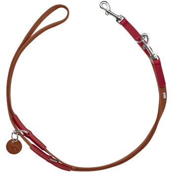 Eine stilvolle Haustierleine mit einer Kombination aus braunem und rotem Leder, mit einem silbernen Clip und einem kleinen runden Anhänger.
